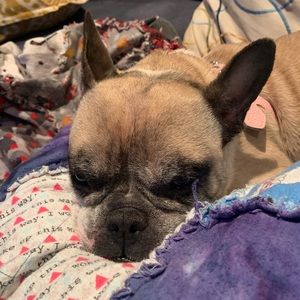 Meet your Posher, Belinda